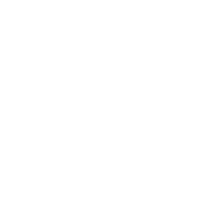 Del Castillo Brand Management