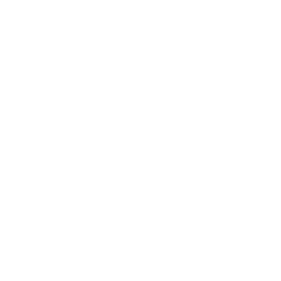 Del Castillo Brand Management