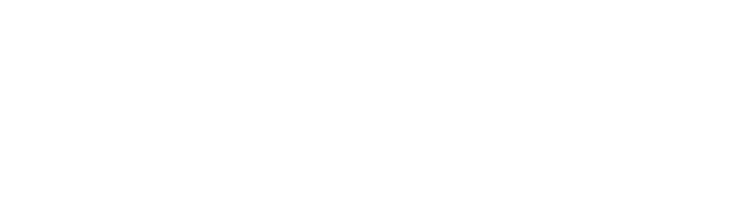 Del Castillo Brand Management