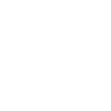 Del Castillo Brand Management